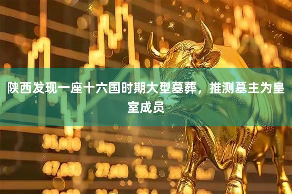 陕西发现一座十六国时期大型墓葬，推测墓主为皇室成员